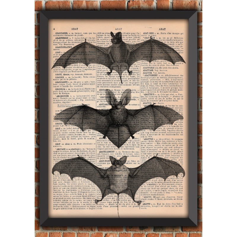 Affiche Imprimée : Squelette d - Halloween Skeleton Decoration avis et prix